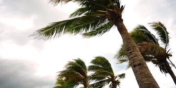 Strong Winds, Snowfall to Hit Several Moroccan Provinces Next Week