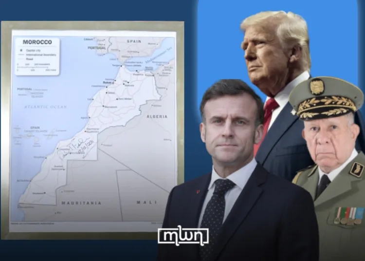 Algeria and the Proxy, Weavers Knitting their Own Shroud