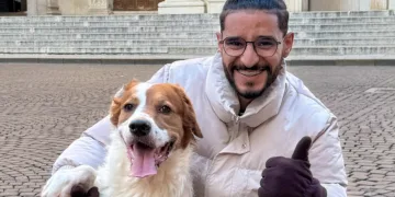 Moroccan Social Media Influencers Launch Campaign to End Stray Dog Culling