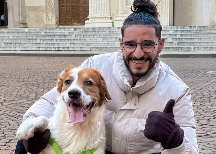 Moroccan Social Media Influencers Launch Campaign to End Stray Dog Culling