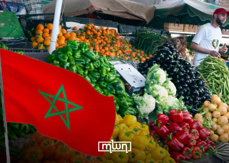 Morocco Climbs to Top Tier of Global Fruit and Vegetable Exporters