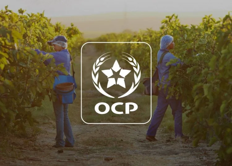 OCP Group Partners with Mistral AI to Advance Value Through Agentic AI