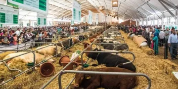 Morocco’s International Agriculture Fair Expects Record Crowd