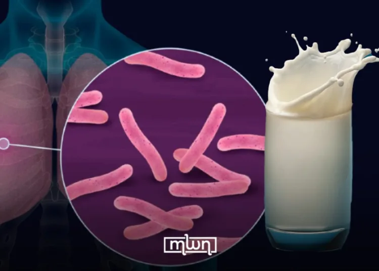 Tuberculosis risk sparks raw milk safety concerns in Morocco.
