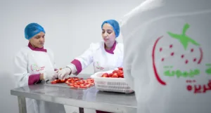 Production unit at Lala Mimouna cooperative