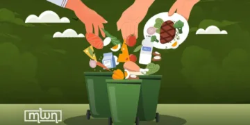 Morocco Tackles Food Waste with 4.2 Million Tons Wasted Annually