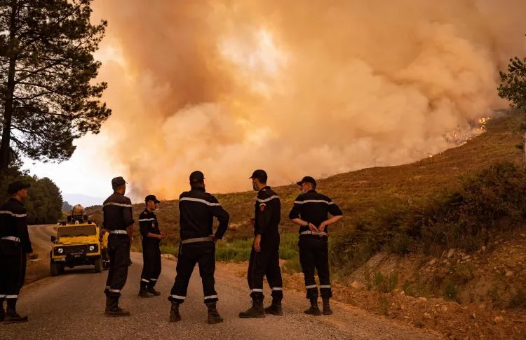 Morocco recorded an important decrease in forest fires in 2024.