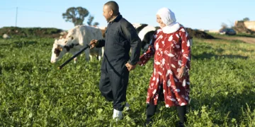 family-run farms