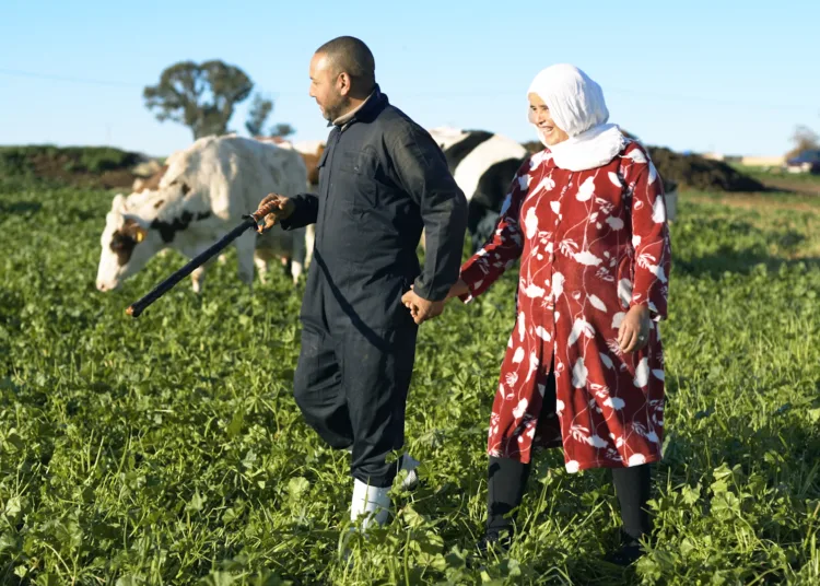 family-run farms
