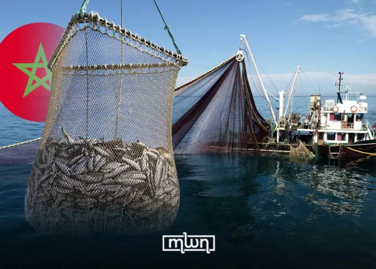 Morocco’s Coastal and Artisanal Fisheries Generate MAD 9.57 Billion in 11 Months
