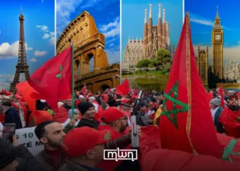 Moroccan Expatriates and the Floating Dirham, Risks, Confidence, and Currency Reform