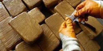 Morocco Foils New Drug Trafficking Attempt, Seizes Nearly 4 Tons of Cannabis