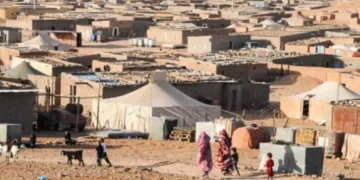UNHCR Pleads for More Support as Polisario Continues to Embezzle Aid