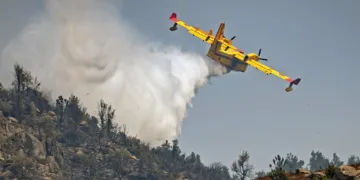 All forest fires registered across Morocco in the past 24 hours have been successfully contained, the National Water and Forest Agency (ANEF) announced Friday.