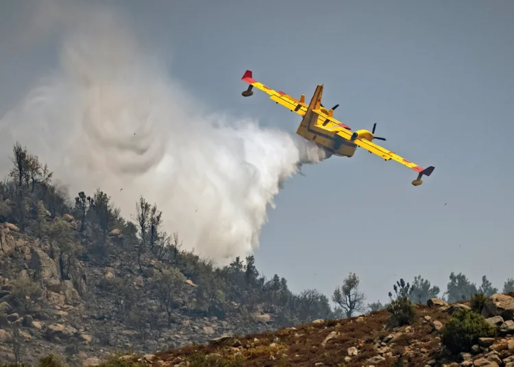 All forest fires registered across Morocco in the past 24 hours have been successfully contained, the National Water and Forest Agency (ANEF) announced Friday.