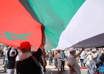 As Israel’s genocide in Gaza stretches into its second year unbated, a recent Arab Barometer survey showed a sharp decline in public support for ties with Israel across the Middle East and North Africa (MENA).