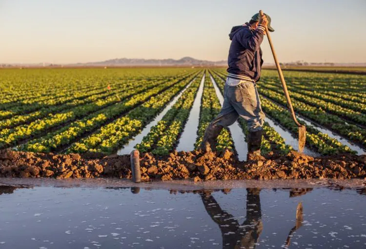 Morocco has been selected as one of the five priority countries for the second funding cycle of the Acumen Resilient Agriculture Fund (ARAF II).