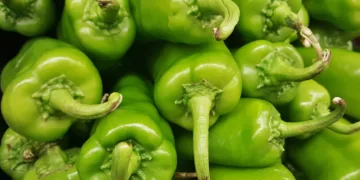 Morocco hit a record in 2024 as Spain’s leading supplier of peppers, exporting 101.11 million kilos — accounting for over 92% of Spain’s total pepper imports. This marks a 199.9% surge compared to 2015, when Moroccan exports stood at 33.71 million kilos.