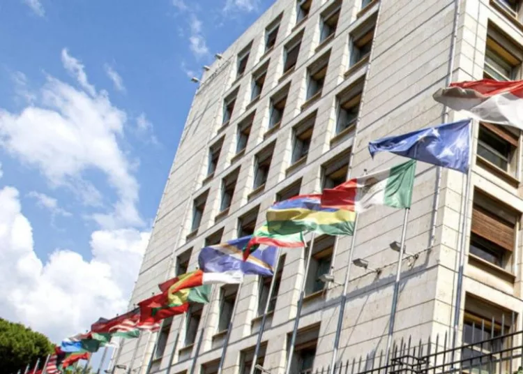 Morocco Pledges Support for Developing Nations Through South-South Cooperation