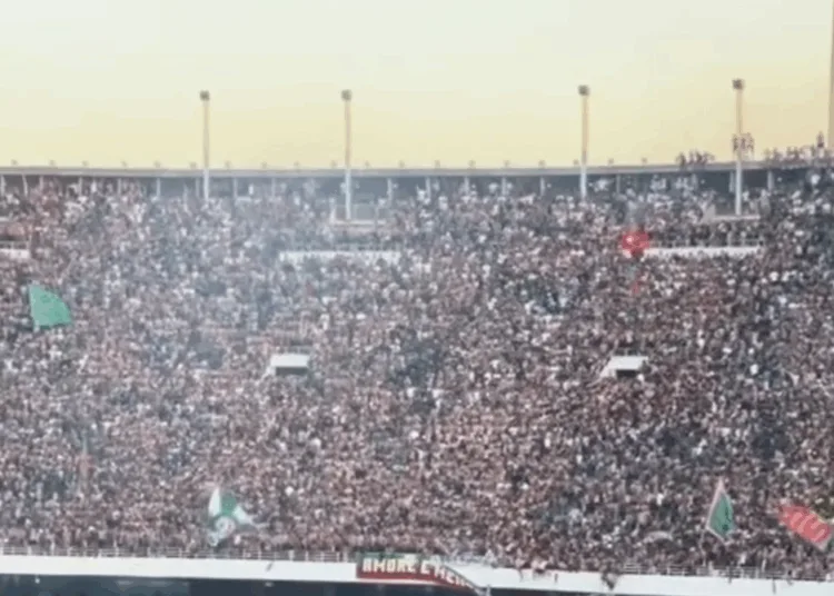 Stadium Barrier Collapses in Algerian Football Venue, Kills One and Injures 11 Fans