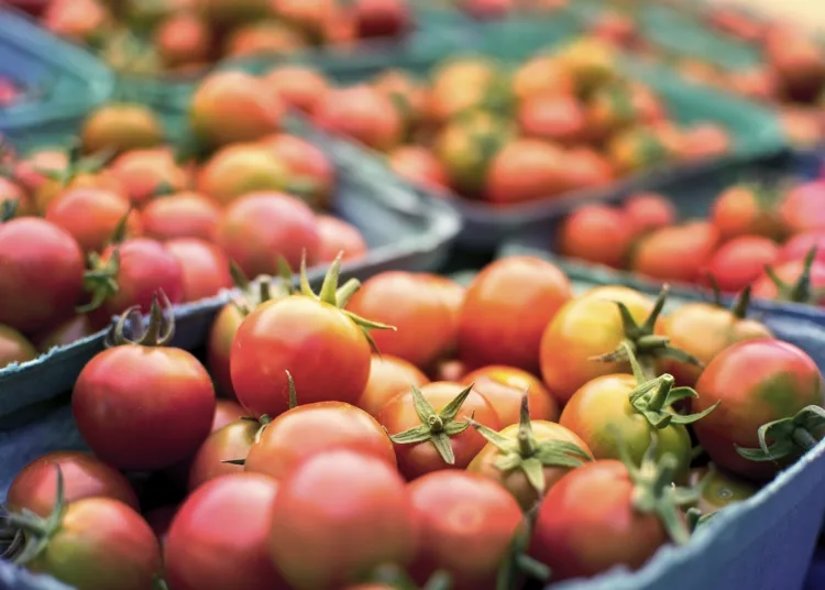 Spain Invests €481 million in Imports of Morocco’s Fruits and Vegetables in Q1