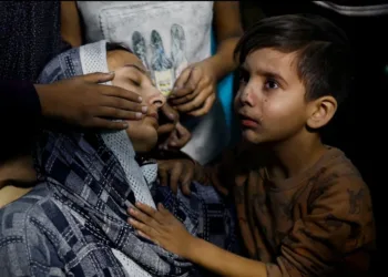 As the world marks the International Day of Innocent Children Victims of Aggression, few places reflect the meaning of this day with more devastating clarity than the Gaza Strip, where Israel’s ongoing genocide has turned Palestinian childhood into a global site of horror, grief, and impunity.