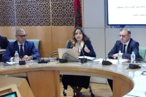 Minister of Energy Transition and Sustainable Development Leila Benali