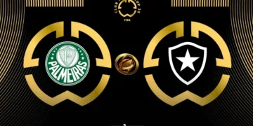 Palmeiras vs Botafogo: Where, When to Watch FIFA Club World Cup