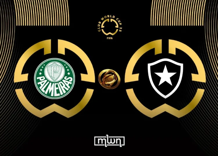 Palmeiras vs Botafogo: Where, When to Watch FIFA Club World Cup