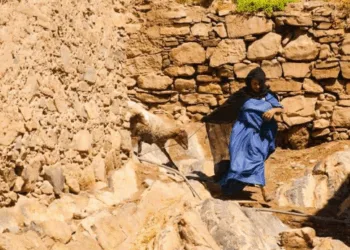 Theory Talks, Reality Walks: Moroccan Women in The Shadow of Debate
