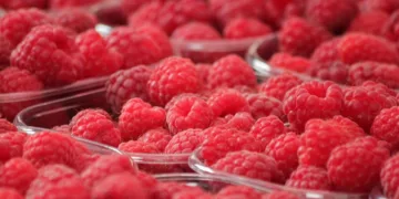 French Wholesaler Receives 1-Year Suspended Sentence for Mislabeling Moroccan Imported Fruits as French