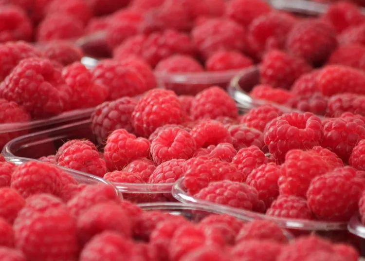 French Wholesaler Receives 1-Year Suspended Sentence for Mislabeling Moroccan Imported Fruits as French