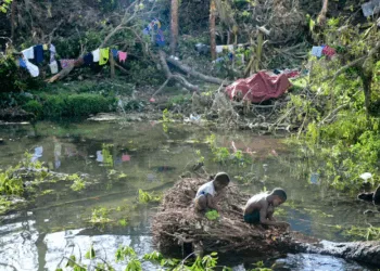 Fallen trees and flooding after Category 5 Cyclone Pam hit Vanuatu in 2015 · Jeremy Piper
