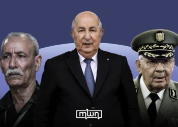 The Last Believers, Memory, Mirage, and the Failed Promises of the Algerian Revolution