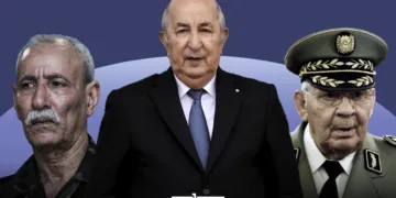 The Last Believers, Memory, Mirage, and the Failed Promises of the Algerian Revolution