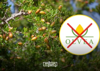 argan oil exploitation
