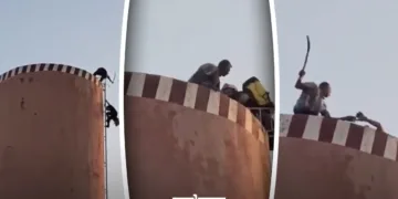 The protester attacked the firefighter, hitting him on the head and arm with a stick, and later pushed him off the tower.