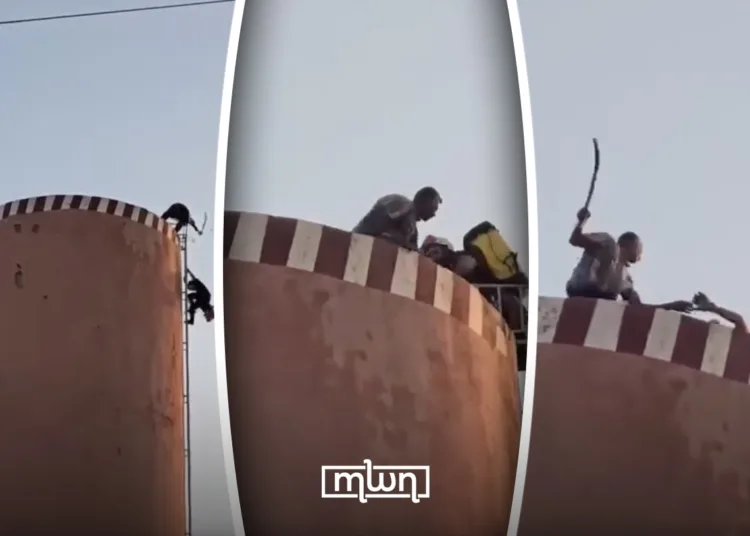 The protester attacked the firefighter, hitting him on the head and arm with a stick, and later pushed him off the tower.