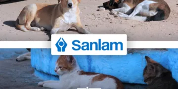 Sanlam Launches Morocco’s First Pet Health Insurance for Cats and Dogs