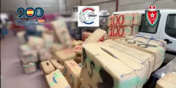 Spanish Police Seize Over 15 Tons of Hashish Hidden in Moroccan Watermelon Truck