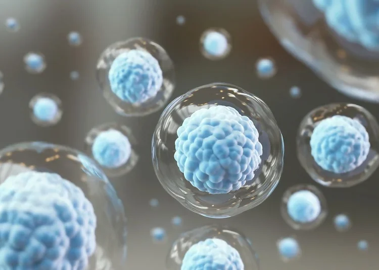 iPSCs (Induced Pluripotent Stem Cells)