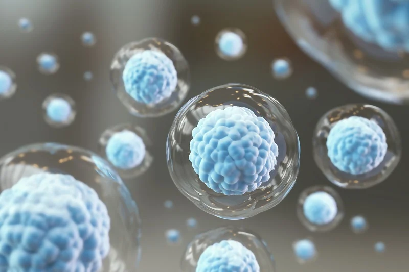 Morocco Successfully Reprograms Blood Cells into Stem Cells for the First Time