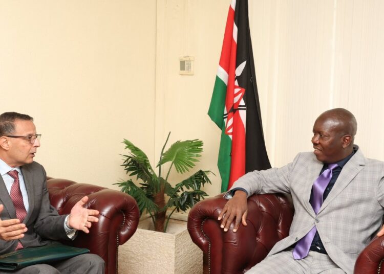 Kenya has expressed its desire to benefit from Morocco’s expertise in fighting cybercrime.