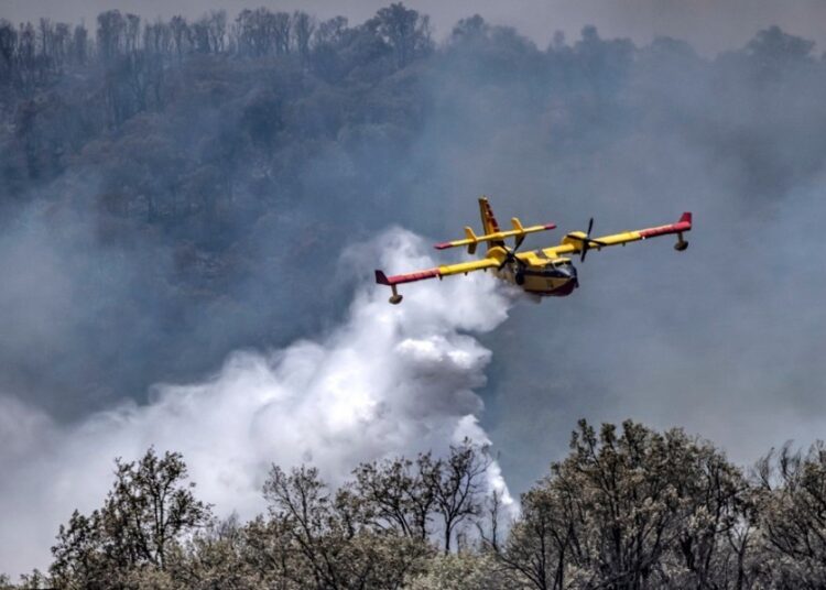 The embassy said that German teams would work “side by side” on the Iberian Peninsula with Moroccan Canadair aircraft already deployed in Portugal.