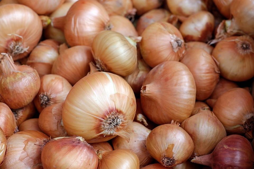 Morocco Sets Record in Fresh Onion Exports After Lifting of Ban