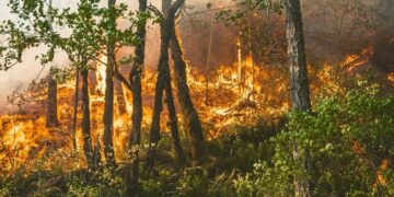 This marks the second major fire in the region within a week.