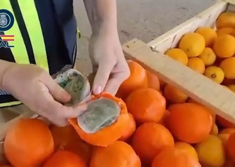 Two Moroccans Arrested in Spain Over 1.5 Tons of Hashish in Fake Oranges