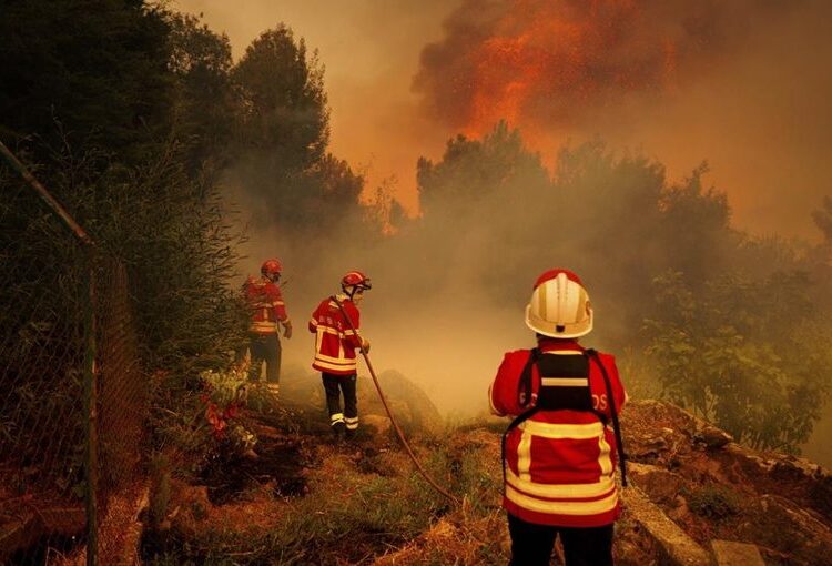After an initial request to Spain proved unsuccessful due to its own wildfire emergency, Portugal turned to Morocco for help.