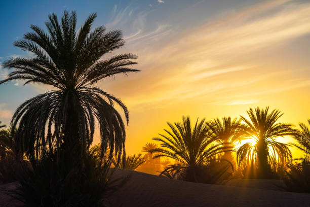 Record Heat, Thunderstorms Expected in Morocco Until Wednesday
