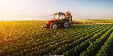 As Morocco-EU agricultural trade value hits $7.6 billion, climate change, droughts, and export policies make for an intriguing relationship, as well as consumer choice.